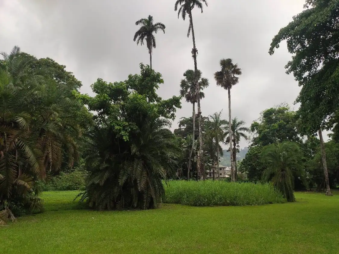 Hotels near Limbe Botanic Garden