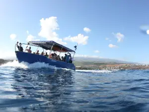 Bleu Marine Reunion