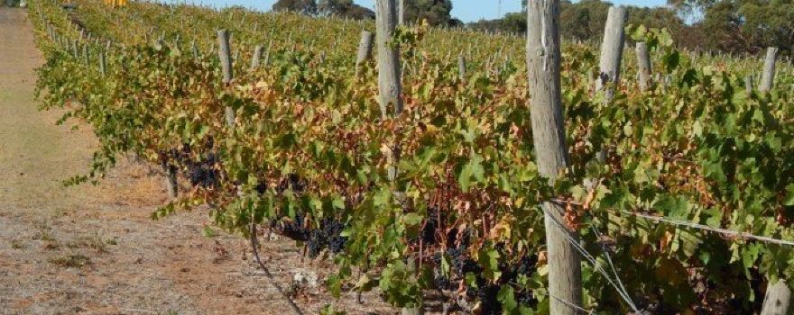 Ralph Fowler Wines