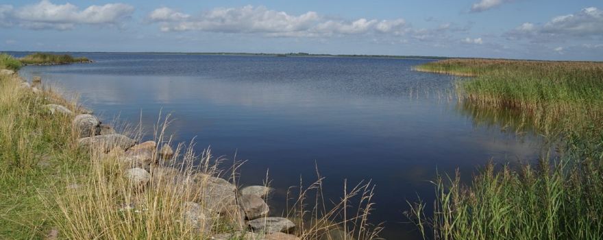 Matsalu National Park