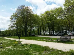 Rotary Island Park
