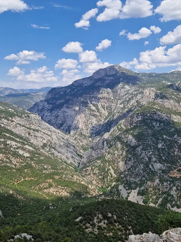 Ormana Mahallesi