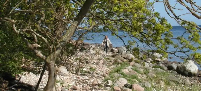 Hoteles en Føllenslev