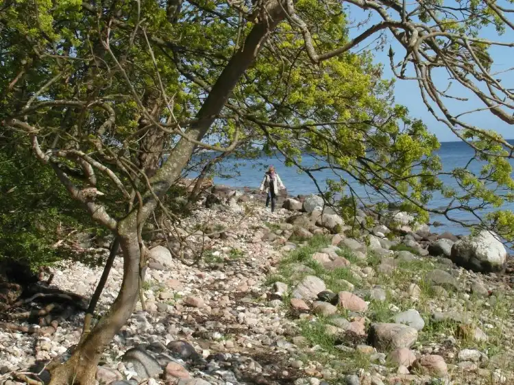 Hotels in Follenslev