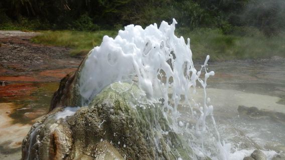 Semuliki National Park