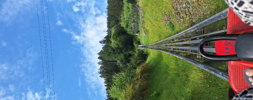Sommerrodelbahn Gutach