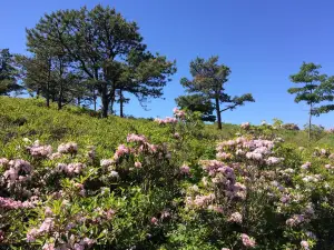 Big Pocono State Park