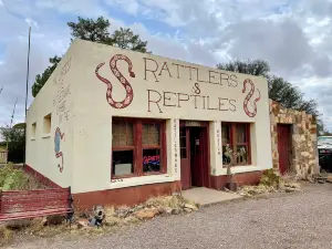 Rattlers & Reptiles