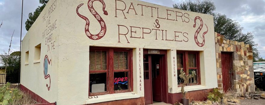 Rattlers & Reptiles