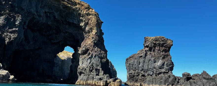 Ecoseaker - Dolphin Swimming & Harbour Adventure Cruises