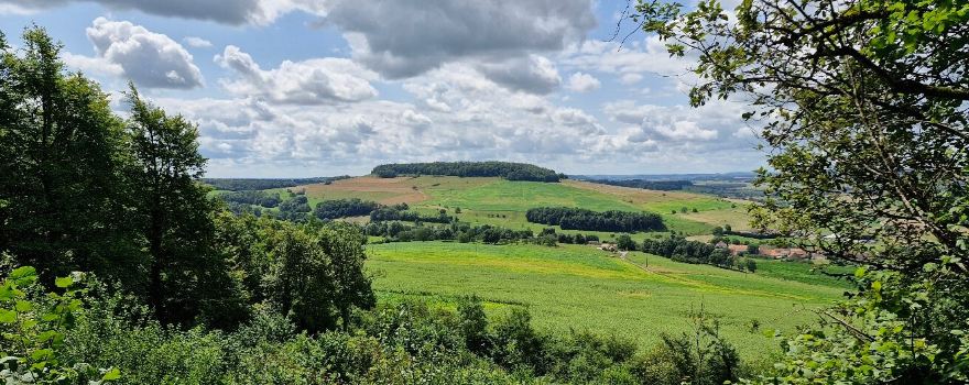 Parc des Roches