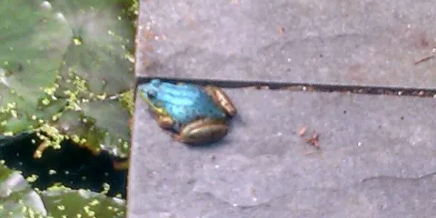 Waterman Conservation Education Center