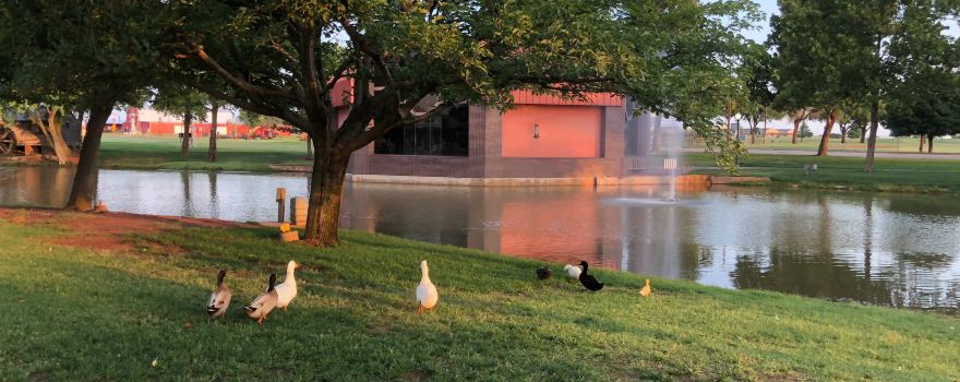 Ackley Park