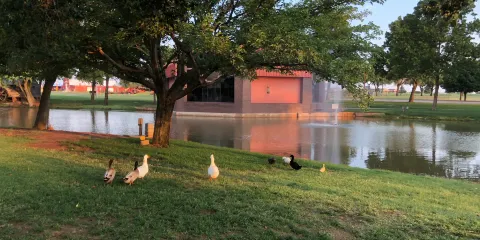 Ackley Park