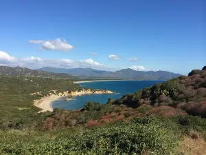 Il Delfino Feraxi Beach