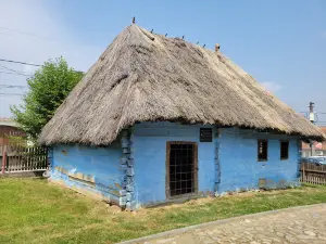 Museum Badea Cartan