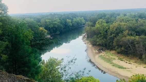 Desoto Bluff Trail