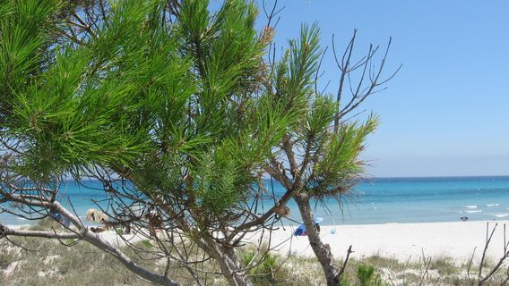 OASI BIDEROSA Golfo Di Orosei