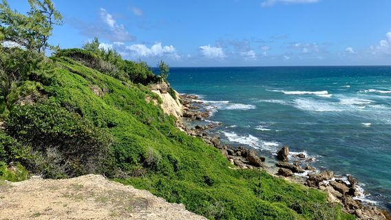 Team Baywatch Watersports and Taxi Service