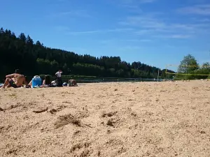 Lac des Sapins