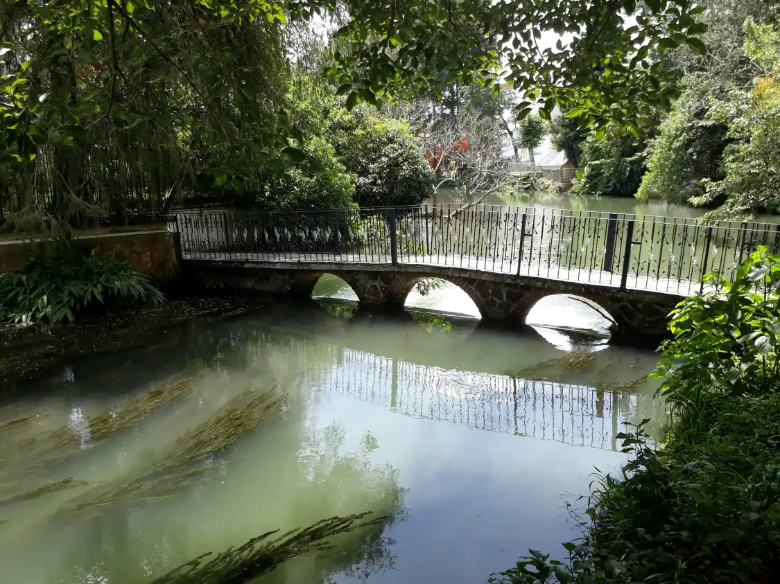 Hotels near Parque de la Senoria
