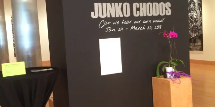 The Cole Art Center @ The Old Opera House