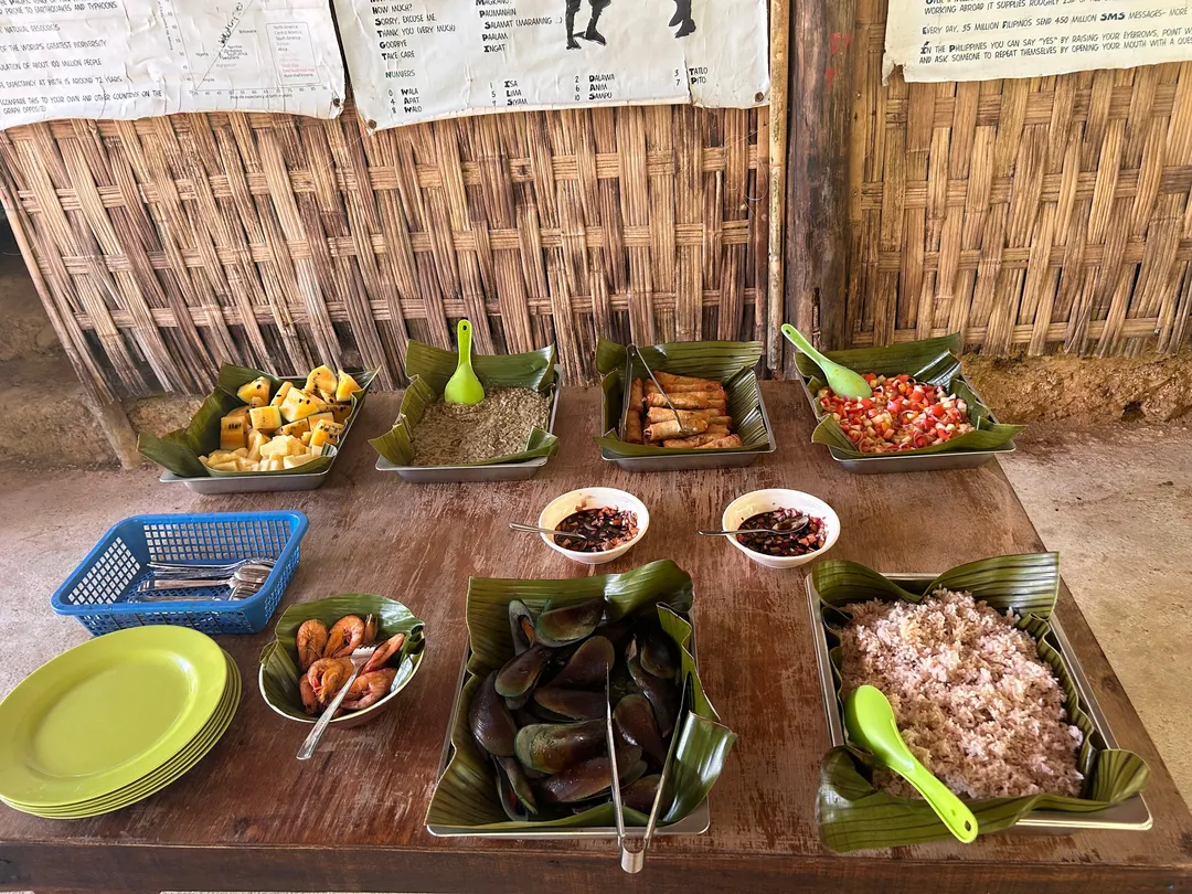 1_The Philippine Experience