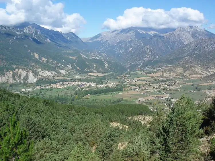 Hotels in Campo