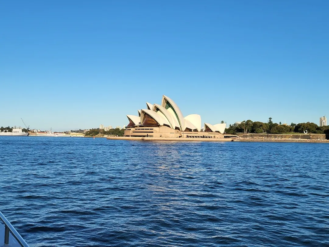 3_Go Whale Watching Sydney