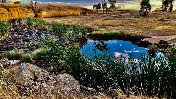 Tocumwal Blowhole