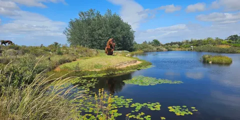 Dylan Lewis Sculpture  Garden
