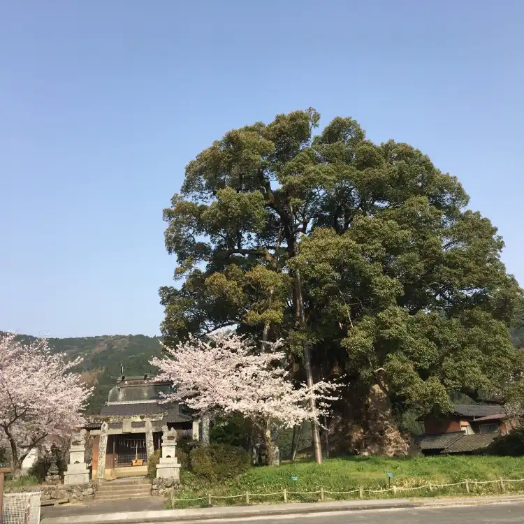Chikujō
