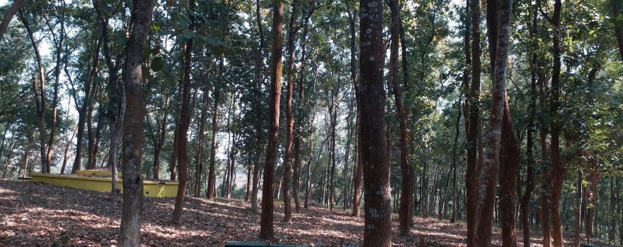 Tepania Eco Park