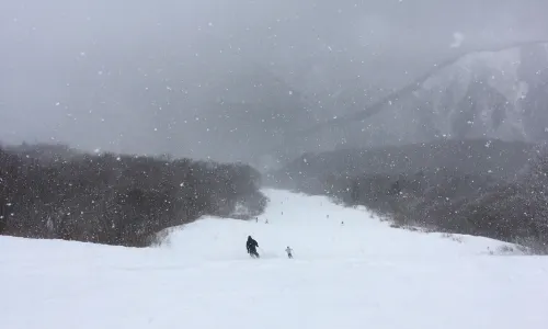 Kurobushi Kogen黑伏高原
