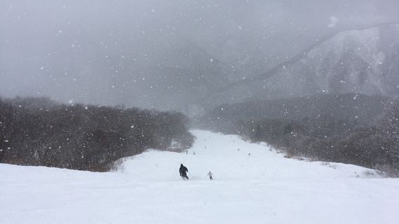 Kurobushi Kogen Snow Park Jangle Jungle