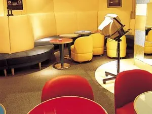 Bar Lounge Paddle