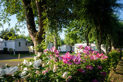 CAMPING LE BASCAT