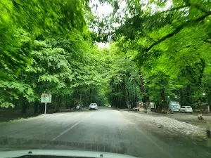 Ismailli State Reserve