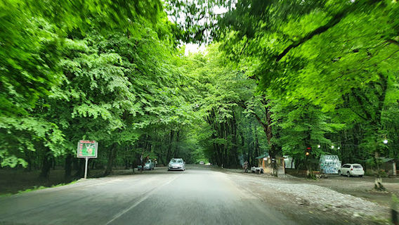 Ismailli State Reserve