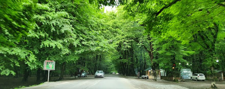 Ismailli State Reserve