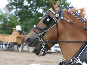 Waseca County Fairgrounds