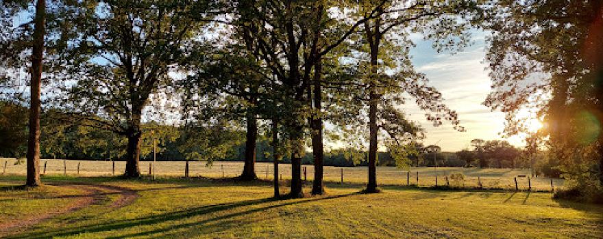Camping Champ de la Chapelle