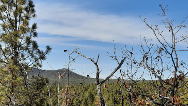 Clover Springs Loop Trail