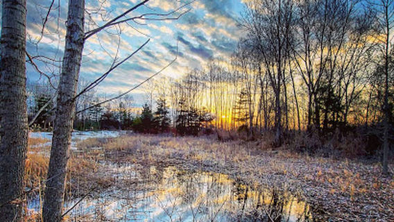 Marthaville Habitat Management Area