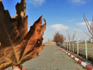 Bozok Stadyumu