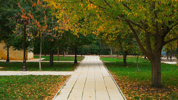 Park Imeni Samurskogo