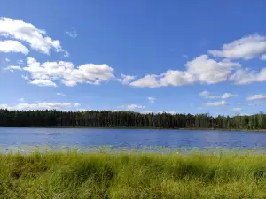 RMK Mustjärve lõkkekoht