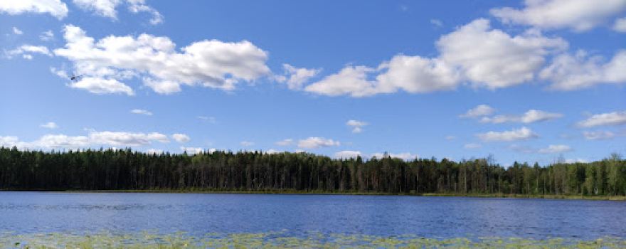 RMK Mustjärve lõkkekoht