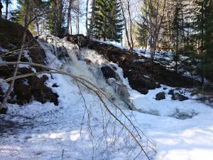 Juveninkoski Rapids