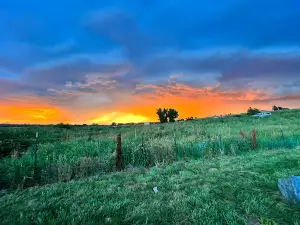 Cherry Creek ​Dog Of​f Leash Area (DOLA)